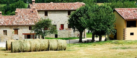 Outdoor, Scenic View