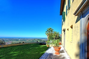 Garden, Outdoor, Scenic View