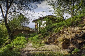 Vegetation, Natürliche Landschaft, Natur, Grün, Baum, Haus, Wand, Steinwand, Ländliches Gebiet, \"Fels