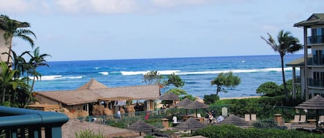 C302 Ocean & Pool View