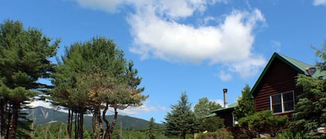 Esther Mountain Chalet is a 3-bedroom, 2 bath home with a direct view of Whiteface Mountain.