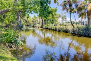 Back Yard Lagoon View!