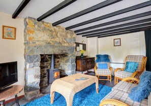 Living Room with wood burning stove