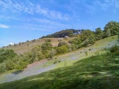 Orchard Cottage, LOTHERSDALE