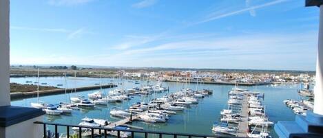 Views from the terrace of the marina and the entire marsh, as well as the fishing district of Punta del Moral.