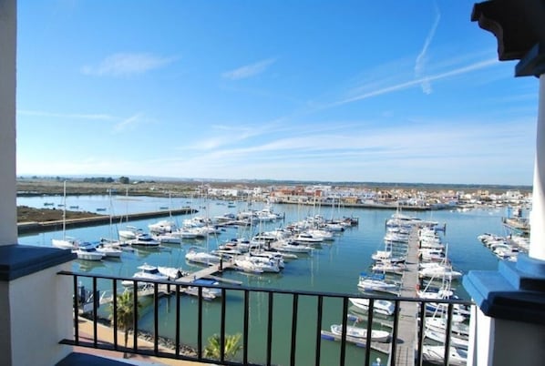Views from the terrace of the marina and the entire marsh, as well as the fishing district of Punta del Moral.