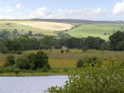 The Rindle, MEERBROOK