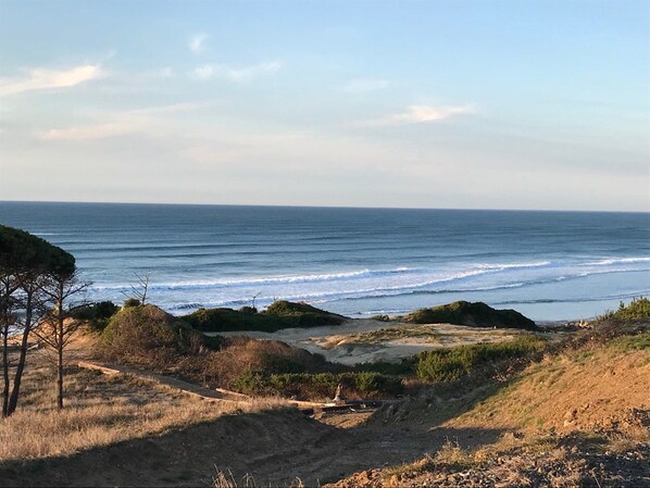 Beach/ocean view