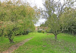 Garden - View 5