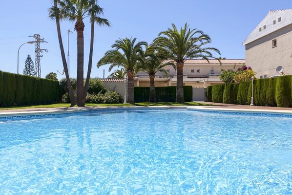 Garden and swimming pool