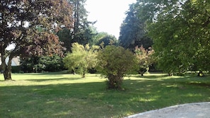 Esterni