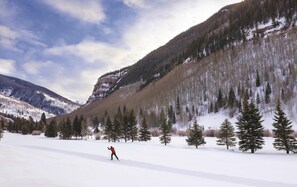 Sneeuw- en skisporten