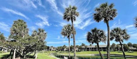 Del Lago lagoon view