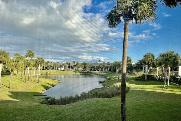 Del Lago Lagoon view from enclosed lanai