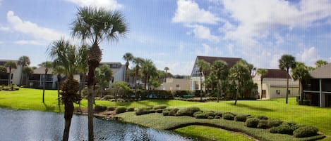 view from enclosed lanai