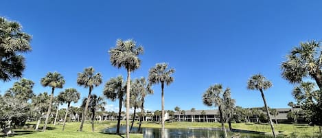 lagoon view from lanai