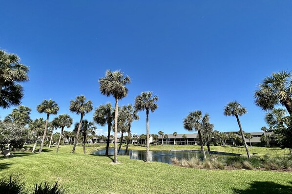 lagoon view from lanai
