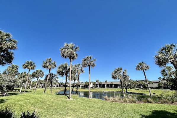 lagoon view from lanai