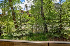 TI119C View