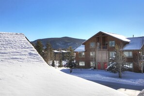 MVL-D View
