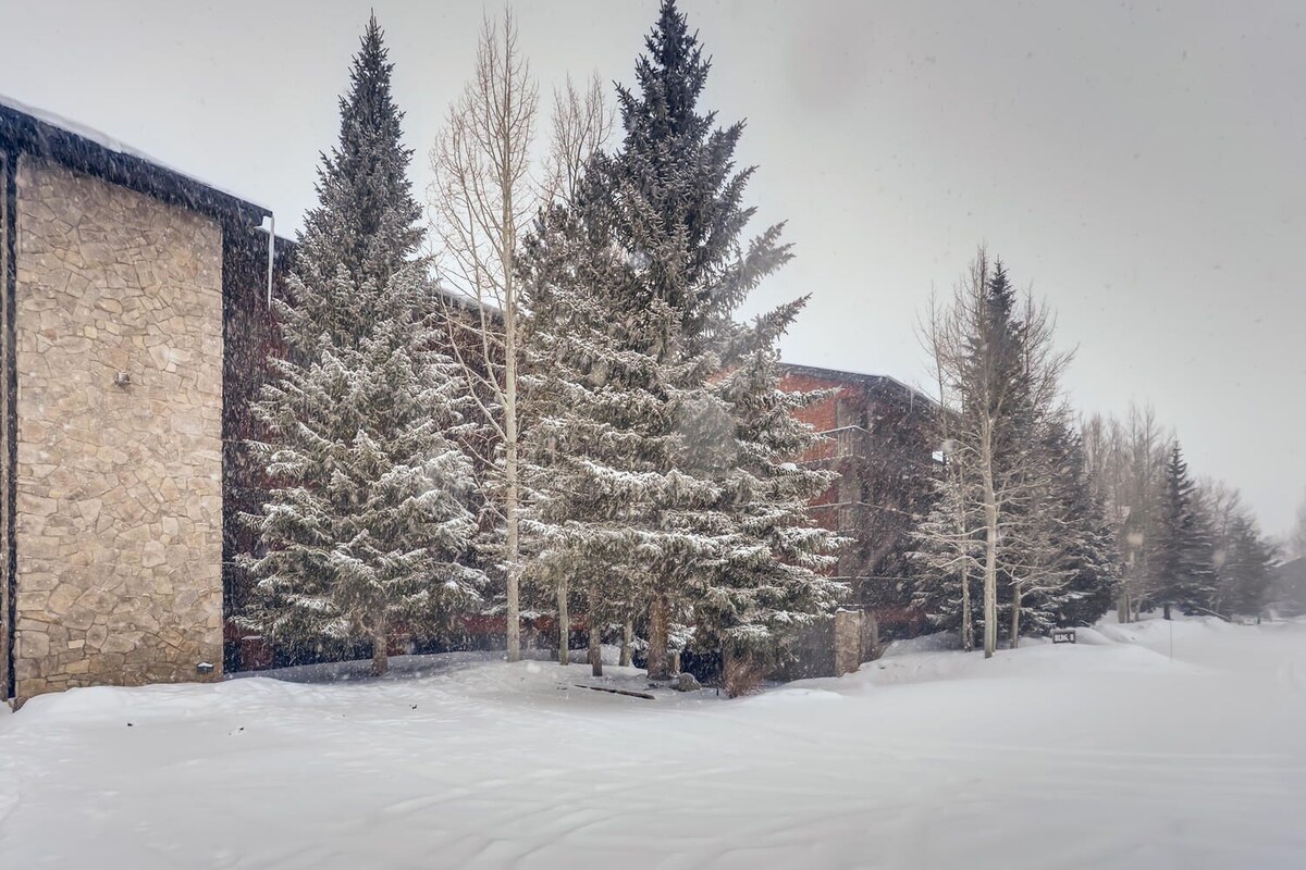 Mountainside 2 bedroom. Only minutes from Skiing and hiking trails.