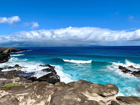 Wake to coastal calm, explore lush trails, and unwind by the waves?paradise from every angle    KBV-14G4