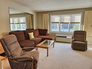 Comfortable living area (no sleep sofa)
