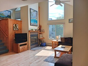 Living area with fireplace and TV