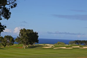 77610026-H1-Golf_view_long_shot-min