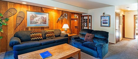 Living room w/ sofa sleeper, TV, DVD player, wood burning fireplace