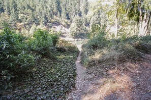 Follow the trail to the river!