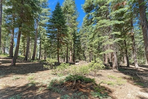 Tree line