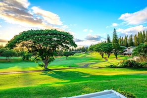 Outstanding View of the Grounds