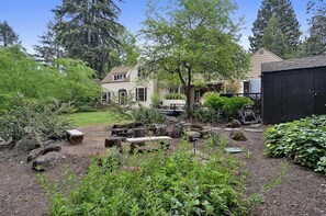 Back yard