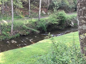 Long Trout Stream Frontage