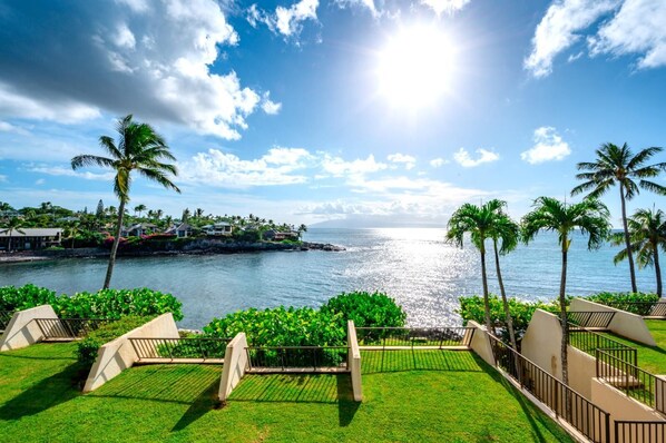 Seas the day! View from patio!     NAP-C18