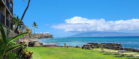 Beautiful Front yard!