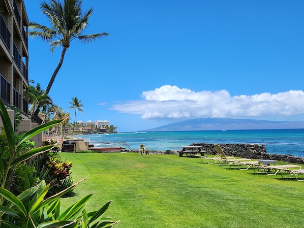 Beautiful Front yard!