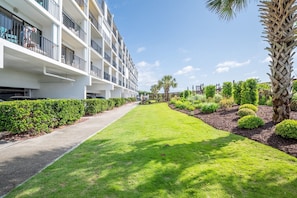Oceanfront Garden Area
