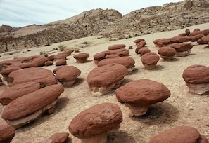 Utah Landscape