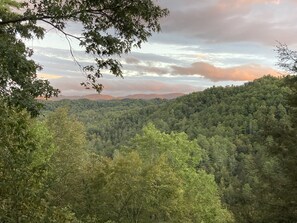 High Horse at Leatherwood Mountains
