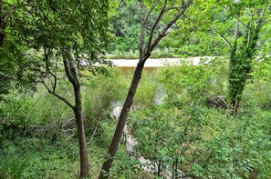 View of river from back deck.