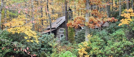 Autumn View of Laurel Mtn Cabin