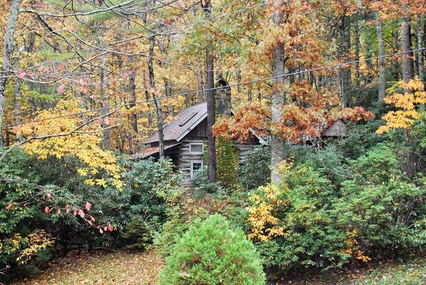 Autumn View of Laurel Mtn Cabin