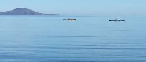 Coronado Island, right off Loreto Bay beach