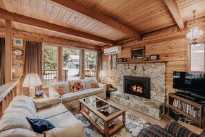 Living area with Gas fireplace and tv monitor
