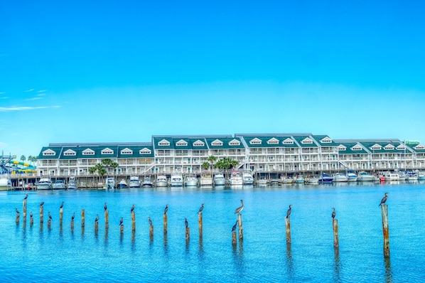 Amazing Setting - Located directly on the wide open Intracoastal waterway!