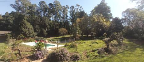 Naturpool