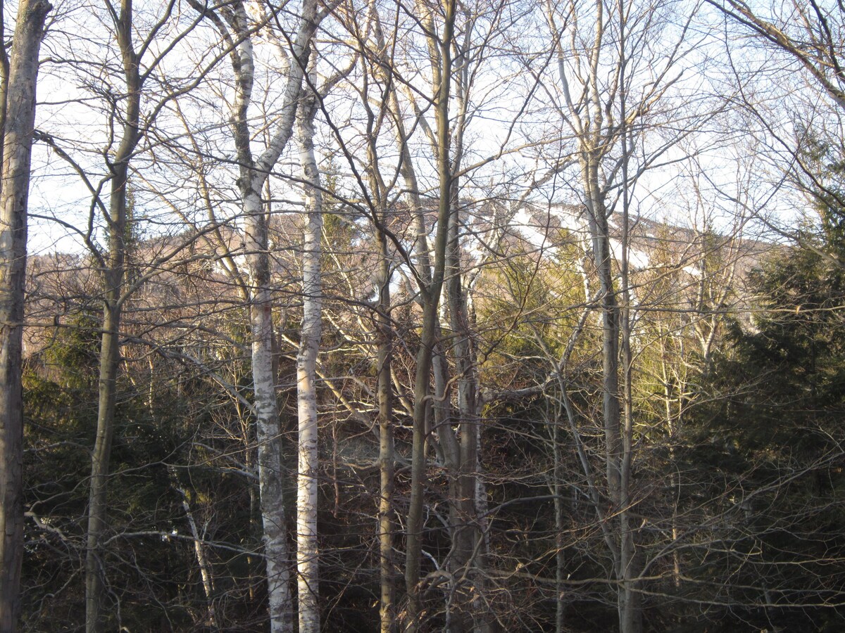 Beautiful Stratton Mountain Condo