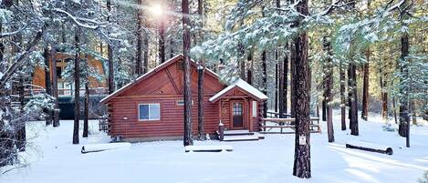 Snow covered Big Bear Cool Cabins Catalina Creekside Cabin, front